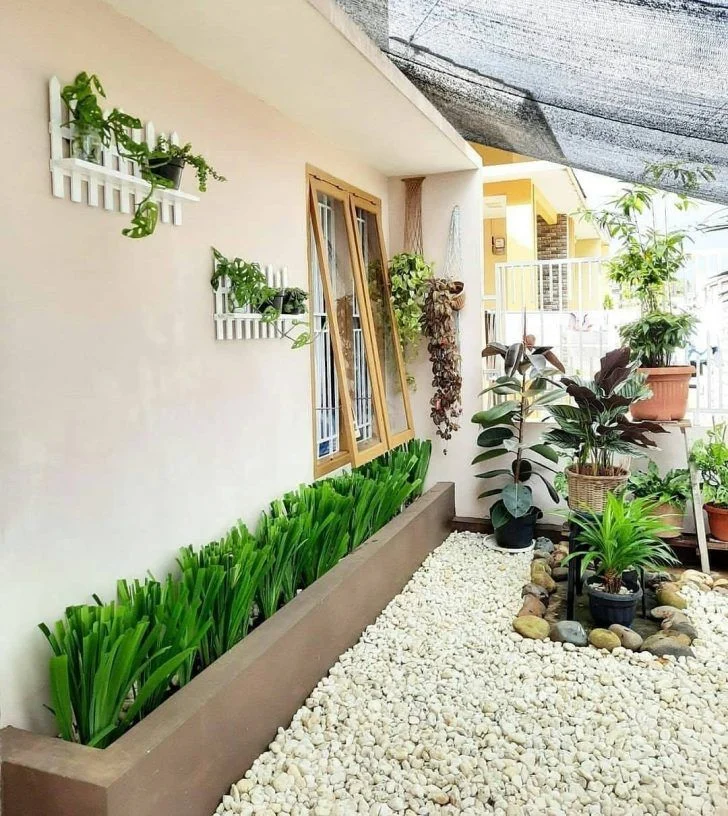 25 Tanaman Hias Depan Rumah yang Membuat Hunian Lebih Cantik dan Asri
