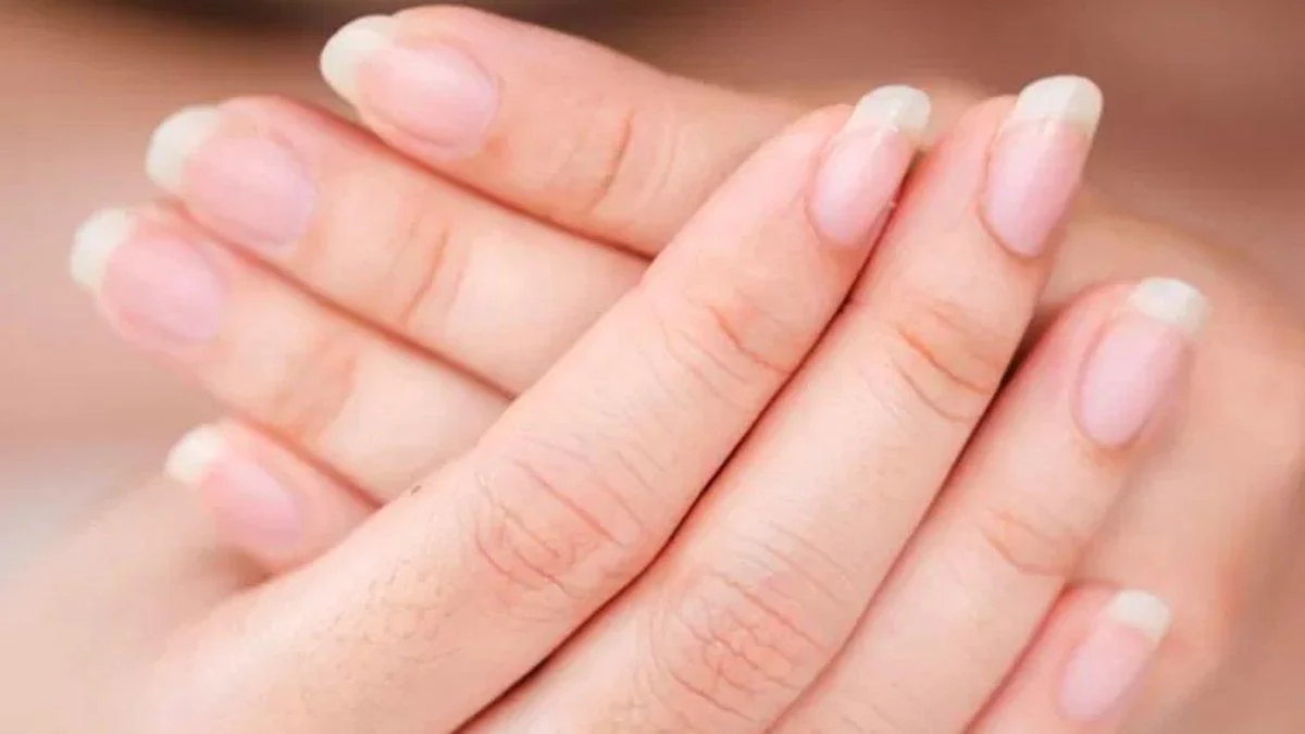 5 Bahan Alami untuk Memiliki Kuku Panjang dan Kuat Tanpa Mudah Patah