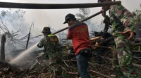 500 Hektare Hutan Hangus Terungkap, Polres Pelalawan Tangkap Pelaku Pembakaran Lahan