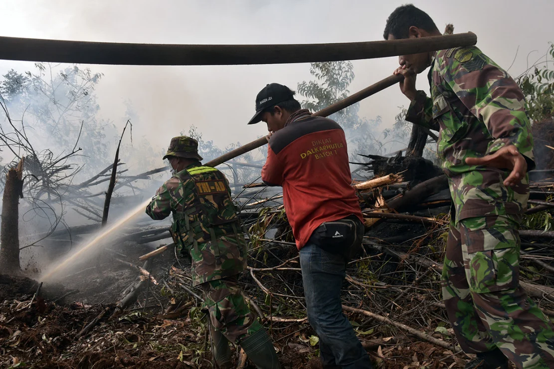 500 Hektare Hutan Hangus Terungkap, Polres Pelalawan Tangkap Pelaku Pembakaran Lahan