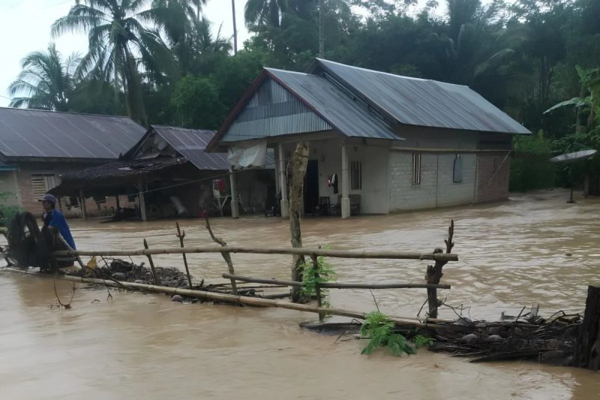 552 Rumah Warga Terdampak Banjir di Donggala, Sulawesi Tengah: Dampak, Tanggap Darurat, dan Upaya Pemulihan