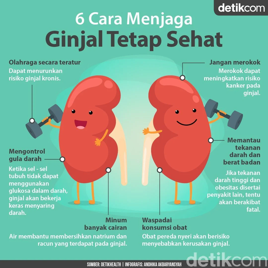 6 Kebiasaan Sehari-hari untuk Menjaga Kesehatan Ginjal Secara Optimal