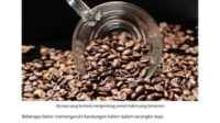 7 Nutrisi Penting dalam Kopi yang Lebih Berharga dari Sekadar Kafein