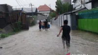 Banjir Kiriman Landa Jembrana: Ratusan Rumah Tergenang, Jalan Denpasar Tersendat
