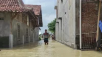 Banjir Redam Demak: 583 Warga Mengungsi, Satu Orang Hilang, Tanggul Jebol Akibat Hujan Deras