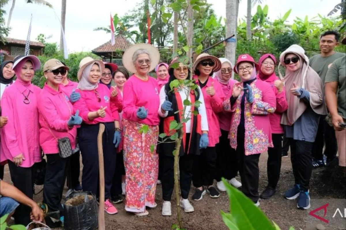 Belda Ungkap Alasan Keras Menentang Bule Mabuk yang Mengganggu Wanita di Bali
