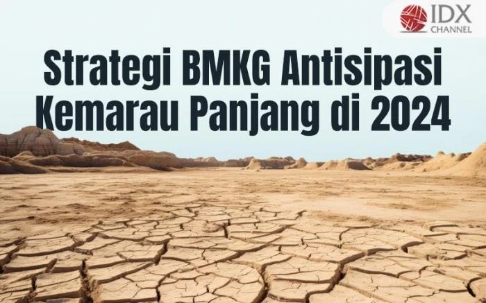 BMKG Ungkap Deret Daerah di Indonesia Siap Hadapi Kemarau Lebih Kering dan Panjang