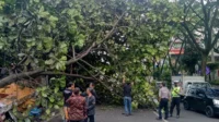 BMKG Ungkap Penyebab Cuaca Ekstrem di Bandung: Pohon Tumbang dan Hujan Es Akibat Pancaroba