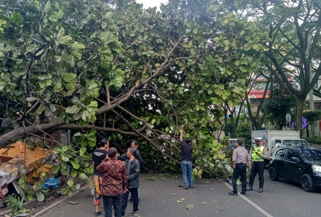 BMKG Ungkap Penyebab Cuaca Ekstrem di Bandung: Pohon Tumbang dan Hujan Es Akibat Pancaroba