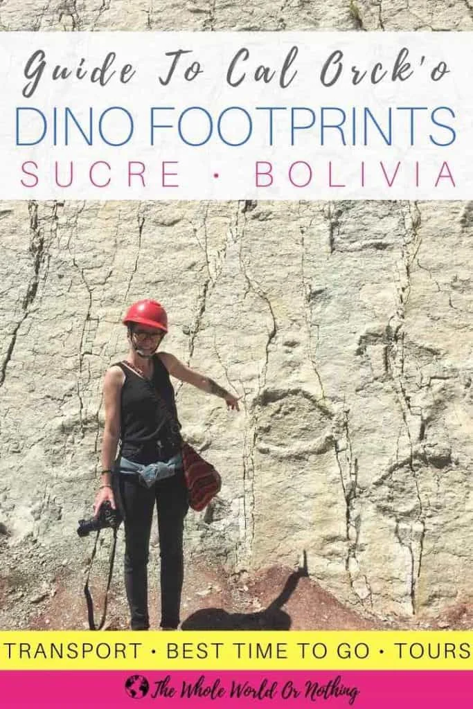 Bolivia Perkuat Perlindungan Situs Jejak Dinosaurus Cal Orck'o untuk Jaga Warisan Prasejarah