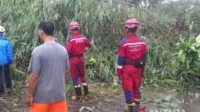 BPBD Cianjur Respon Cepat Atasi Pohon Tumbang di Jalan Puncak-Cianjur, Pemotor Tewas