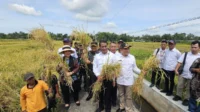 BULOG dan GMM Raih Kesepakatan Serap Tebu Petani Blora Sesuai Harga Pemerintah