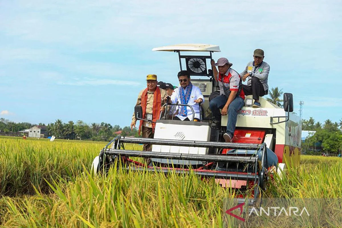 Cadangan Beras Nasional Tercapai Puncak, Mentan Amran Pastikan Kesiapan Menghadapi El Nino
