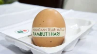 Cara Praktis Hilangkan Telur Kutu Rambut dengan Garam dan Cuka: Panduan Lengkap Mudah dan Murah