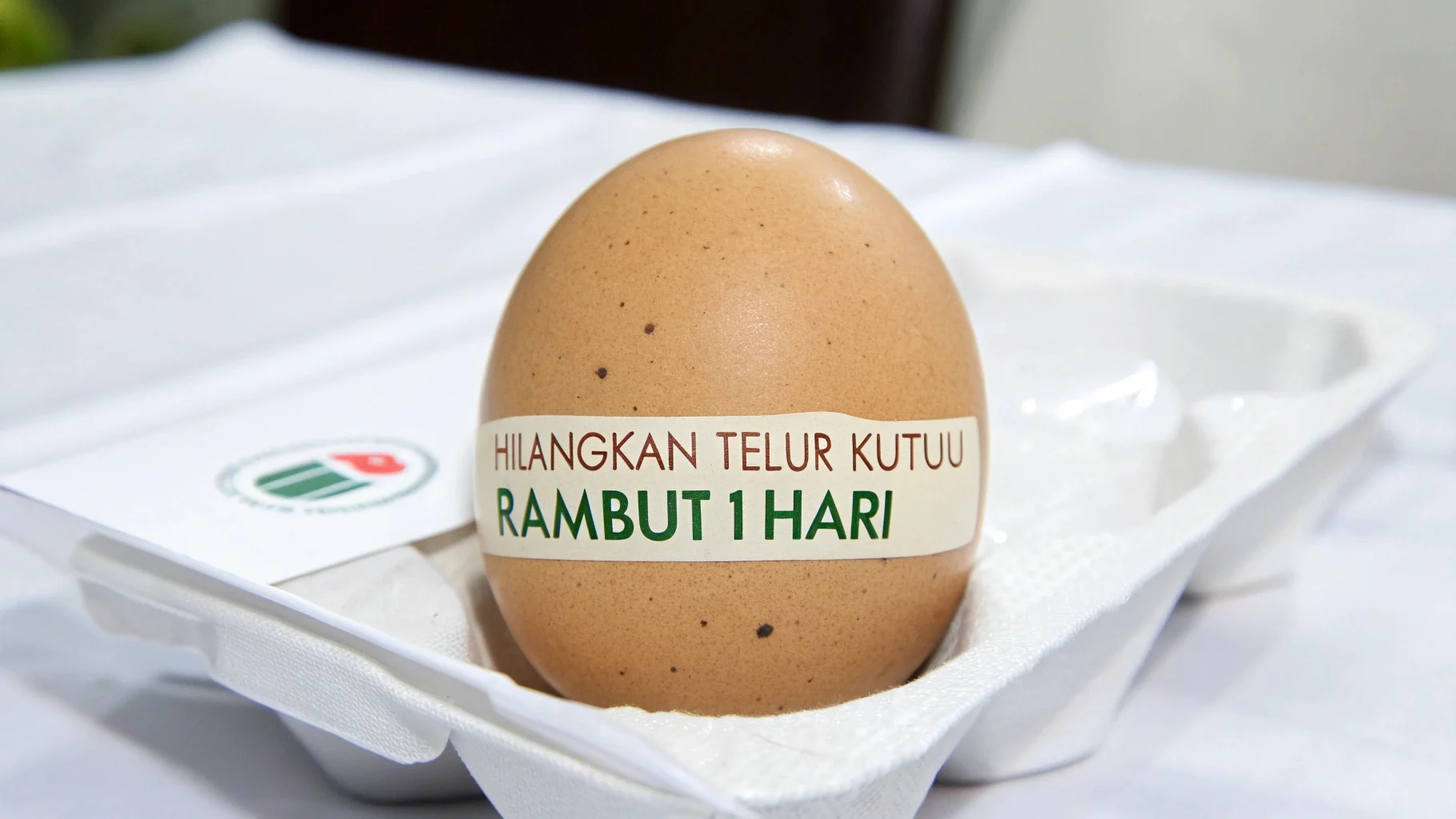Cara Praktis Hilangkan Telur Kutu Rambut dengan Garam dan Cuka: Panduan Lengkap Mudah dan Murah