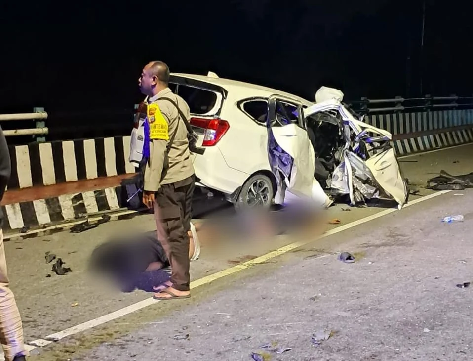 CEO Terkenal Tewas dalam Kecelakaan Tragis Saat Liburan Keluarga, Anak 11 Tahun Terluka Parah