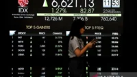 Danantara Gandeng Manajer Investasi Borong Saham di Tengah Penurunan IHSG
