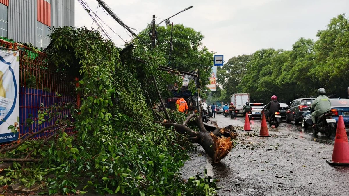 Hujan Deras dan Angin Kencang Landa Bandung, Puluhan Pohon Tumbang dan Reklame Rusak