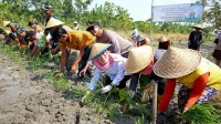 Jawa Tengah Perkuat Regenerasi Petani dan Inovasi untuk Jaga Ketahanan Pangan Nasional