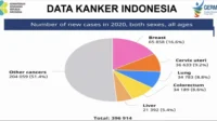 Kanker Payudara dan Paru: Ancaman Besar dengan 104.000 Kasus Baru Setiap Tahun di Indonesia