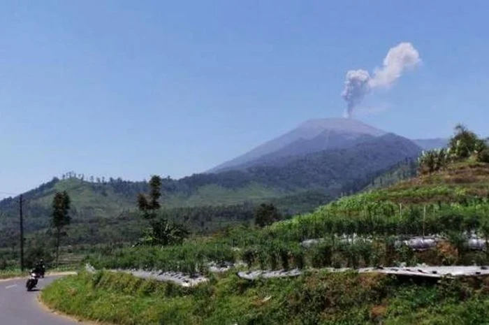 Kawasan Gunung Slamet Tutup Total: Suhu Kawah Naik Memicu Ancaman Erupsi