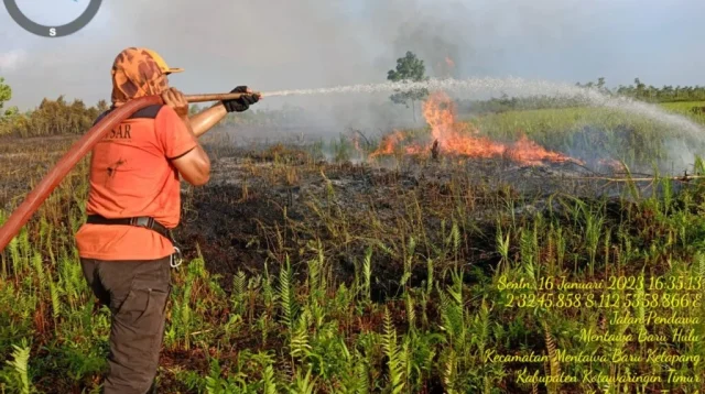 Kebakaran Sabah Raksasa: Dampak Bagi WNI dan Upaya Penanganan oleh Kemenlu RI