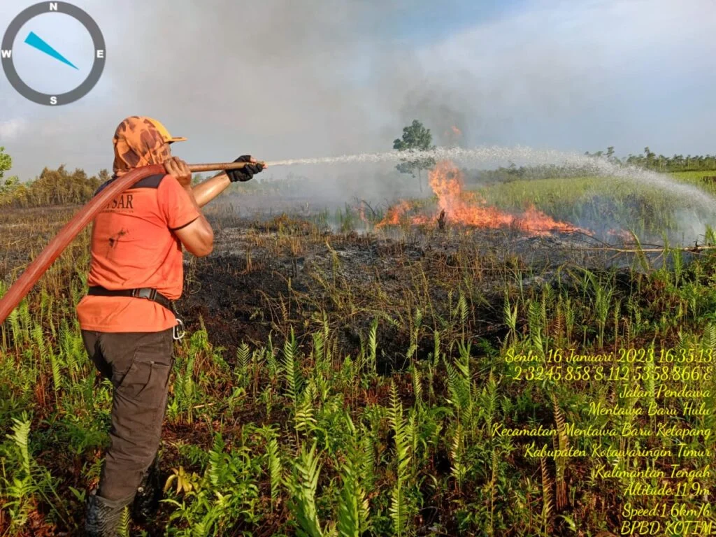 Kebakaran Sabah Raksasa: Dampak Bagi WNI dan Upaya Penanganan oleh Kemenlu RI