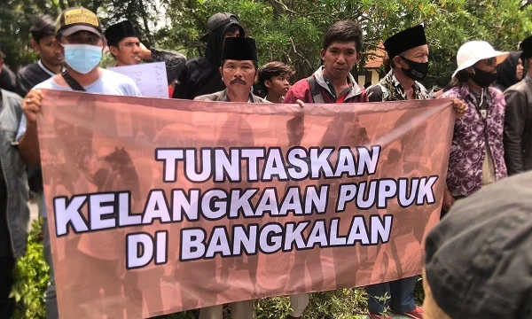 Kelangkaan Pupuk dan Dampaknya: Petani India Khawatir Hadapi Krisis Pangan di Tengah Konflik Iran