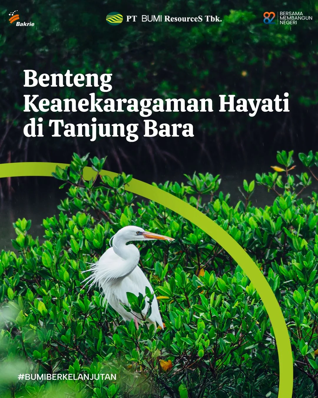 Kemenhut Tekankan Tanggung Jawab Pengusaha dalam Jaga Ekosistem Hutan, Bukan Sekadar Cari Untung