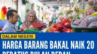 Kenaikan Harga Plastik Dorong Harga Mainan Naik 10-20% di Indonesia