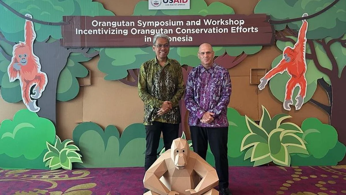 Kolaborasi Jepang-Indonesia Dorong Konservasi Orangutan Langka dengan Program Perkembangbiakan