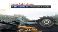 Laba PT Bukit Asam Merosot 43% Akibat Lonjakan Harga BBM, Tantangan Operasional Mengguncang Kinerja Keuangan