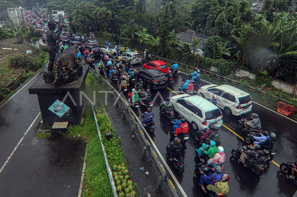 Long Weekend Memicu Laju 37.224 Kendaraan Menuju Wisata Puncak Bogor