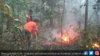 Manggala Agni Gencarkan Upaya Pemadaman Karhutla di Lima Desa Bengkalis, Riau