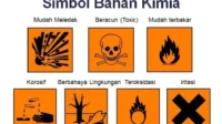 Menguak Fenomena Bimbofication: Definisi, Tanda, dan Dampaknya Menurut Para Ahli