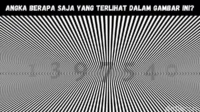 Menguji Penglihatan: Angka Tersembunyi Saat Memicingkan Mata, Ini Cara dan Hasilnya
