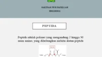 Pengawas Obat Inggris Selidiki Klinik Peptida atas Klaim Kesehatan Kontroversial
