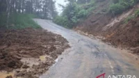 Petugas Gabungan Percepat Pembersihan Longsor di Tulungagung, Jalan Utama Kembali Terbuka