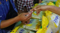 Plastik Langka: Bapanas Izinkan Bulog Pakai Kemasan Lama untuk Beras SPHP