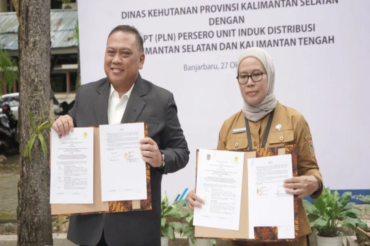 PLN Percepat Pembangunan Jaringan Listrik Batola, Menjangkau Dusun Terpencil di Kalsel