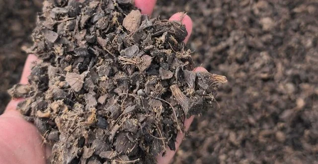 PLN Perkuat Rantai Pasok Bioenergi, Transformasi Cangkang Sawit Jadi Listrik untuk Ketahanan Energi Nasional