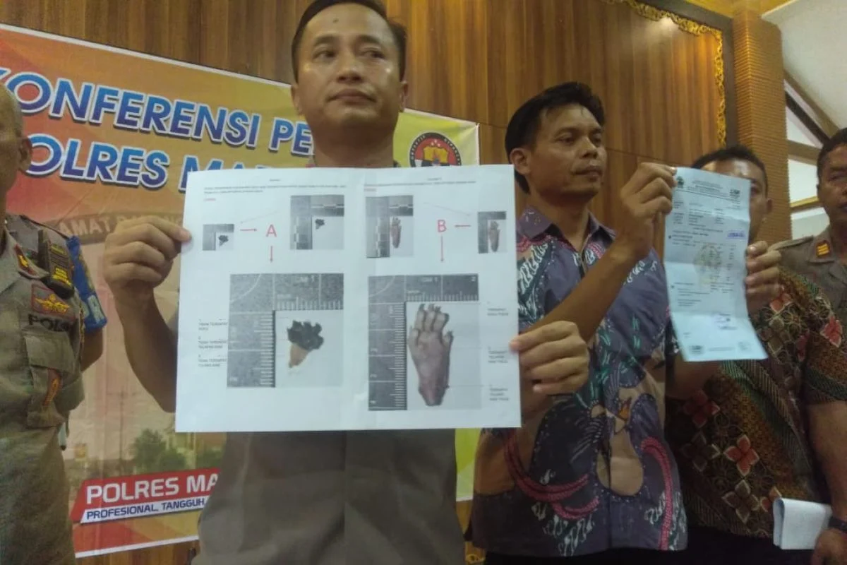 Polisi Inggris Gencar Benteng Daging Tikus dan Antelop dalam Operasi Anti-Bushmeat di London