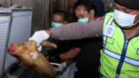 Pria Thailand Tertangkap Masak Daging Anjing di Rumah, Polisi Langsung Menangkapnya