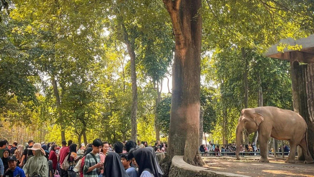 Ragunan Buka Hingga Malam Selama Long Weekend Paskah: Kesempatan Emas Wisata Keluarga di Jakarta