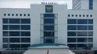 Rekrutmen CPNS Bea Cukai untuk Lulusan SMA Dibuka 300 Kuota, Simak Detail dan Rencana Selanjutnya
