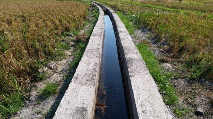 Sinergi Kementan dan KemenPU Percepat Optimalisasi Irigasi untuk Antisipasi Kekeringan di Jawa Tengah