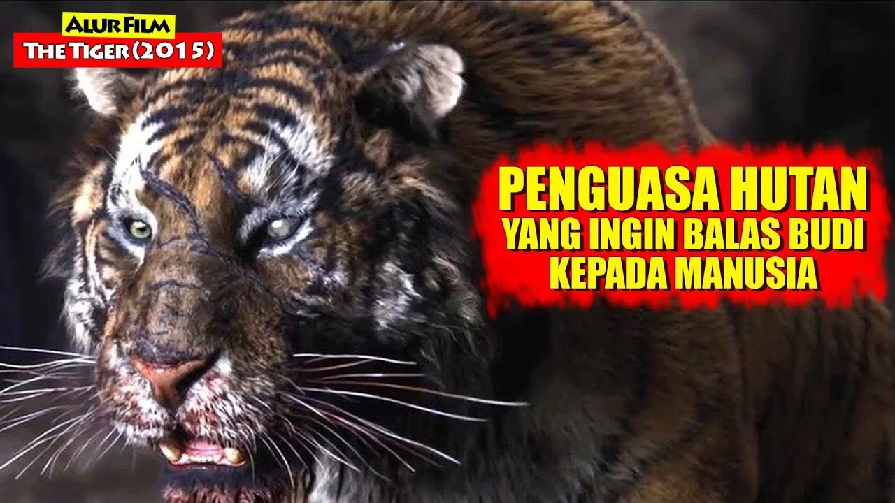 Sinopsis The Tiger: Drama Korea tentang Haru, Manusia, dan Penguasa Hutan – Tayang Eksklusif di Vidio