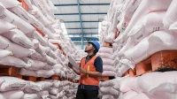 Stok Pupuk Subsidi Melimpah: PT Pupuk Indonesia Siapkan 205.451 Ton untuk Petani Timur