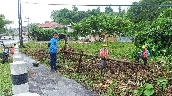 Storm Dave Bikin Lebih dari 50 Pemadaman Listrik di Irlandia Utara, Peringatan Cuaca Kuning Diterbitkan