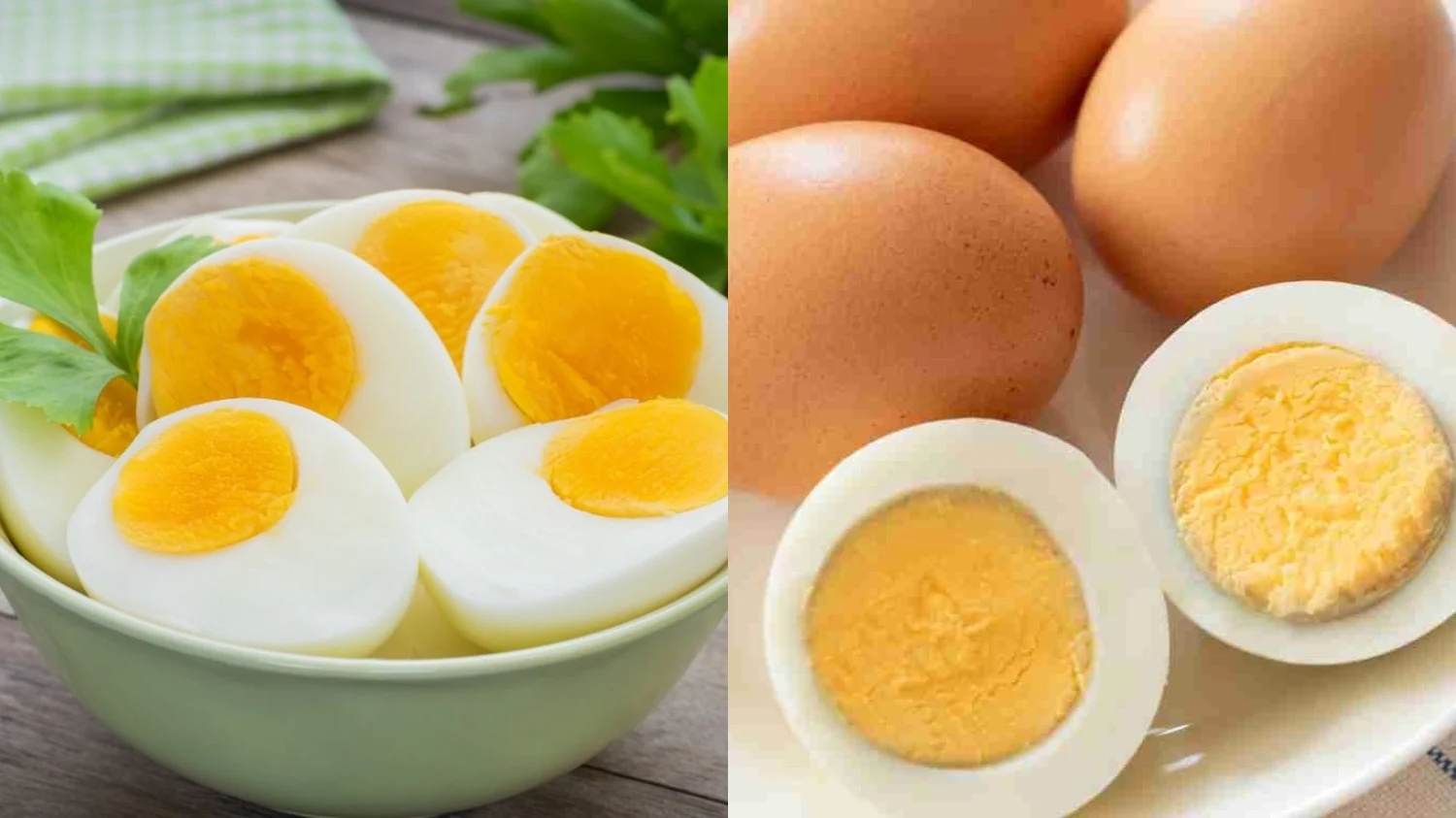 Telur Rebus: Sumber Nutrisi Lengkap yang Dibalik Mitos Bikin Jerawat